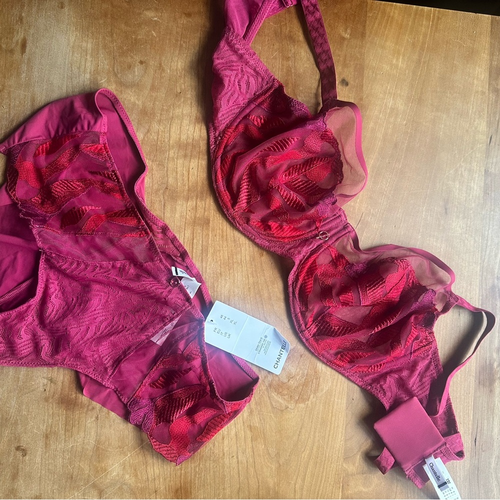 NWT Chantelle Lace Bra and Panty Set - Red 36 DD & XL